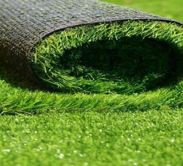 Why You Should Choose Artificial Grass